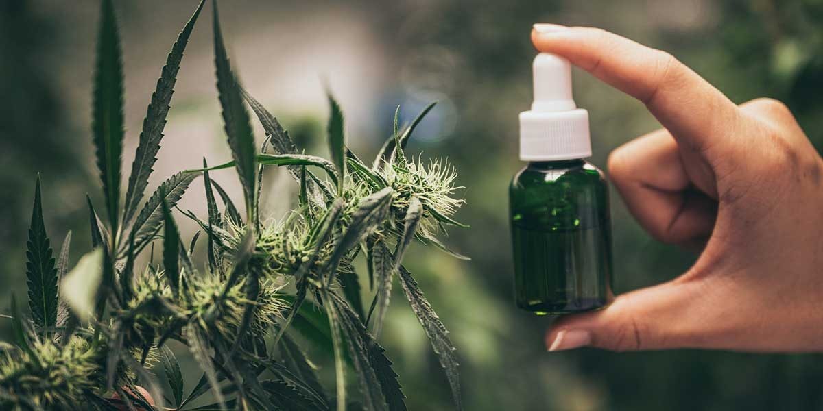 Why is full-spectrum cbd oil different from isolate products?
