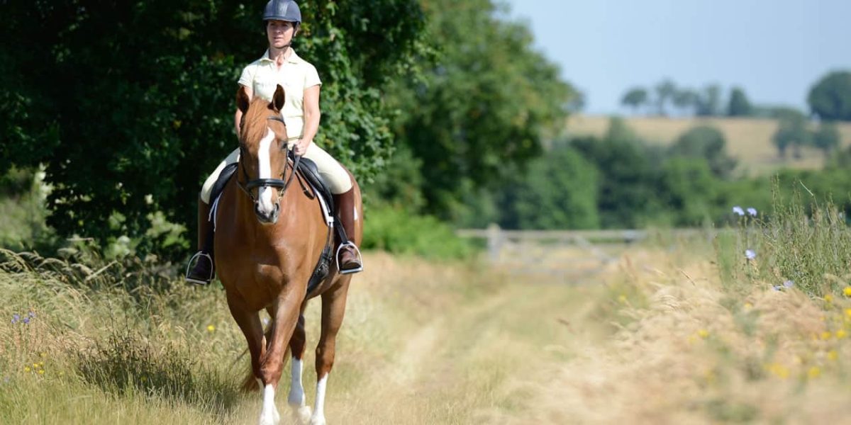 Where Confidence and Cantering Begins: Discover the Joy of Horse Riding in Essex
